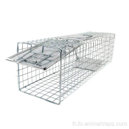 Liebang Metal Live Animal Cage Traps pour lapins